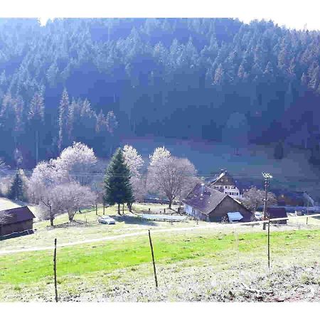 Ferienhaus Schwarzwald Seewald Erzgrube Badesee 100% Natur Exterior photo