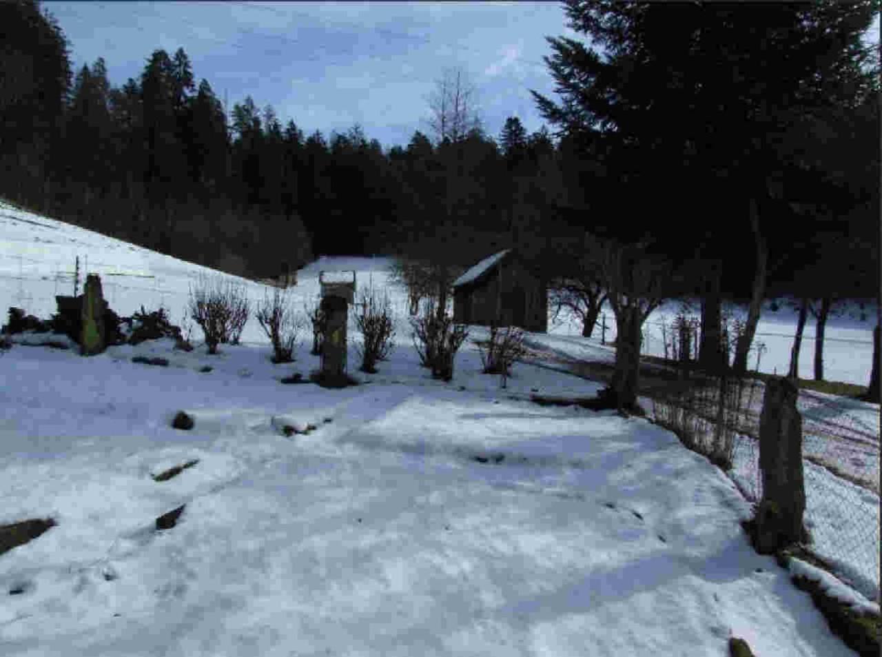 Ferienhaus Schwarzwald Seewald Erzgrube Badesee 100% Natur Exterior photo
